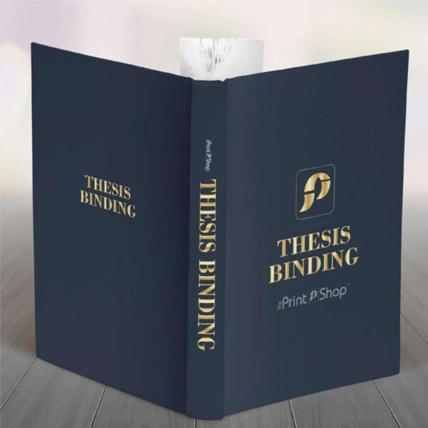 Thesis - Image 2