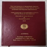 Thesis - Image 4